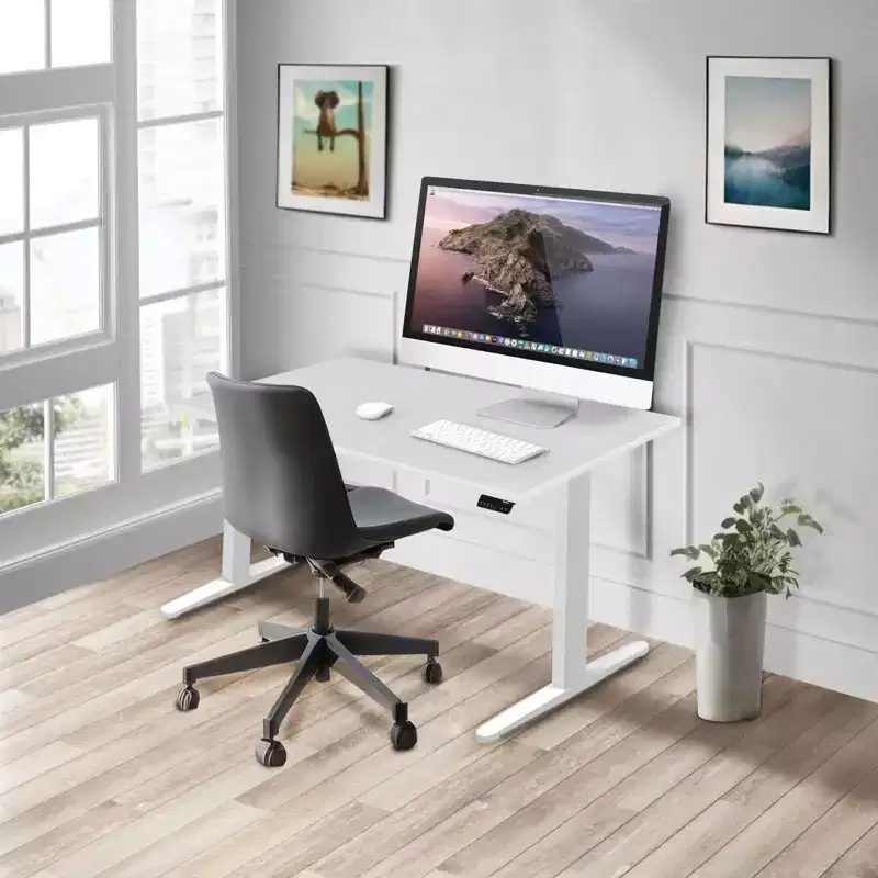 Dual Motor Electric Standing Desk with 48