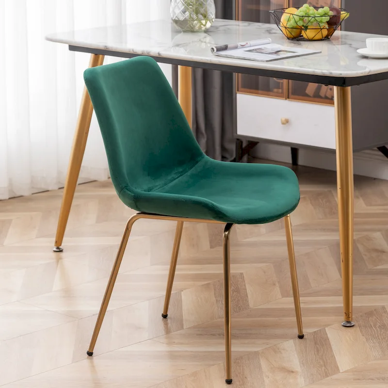 Roundhill Furniture Aufurr Modern Velvet Dining Chair (Set of 2)