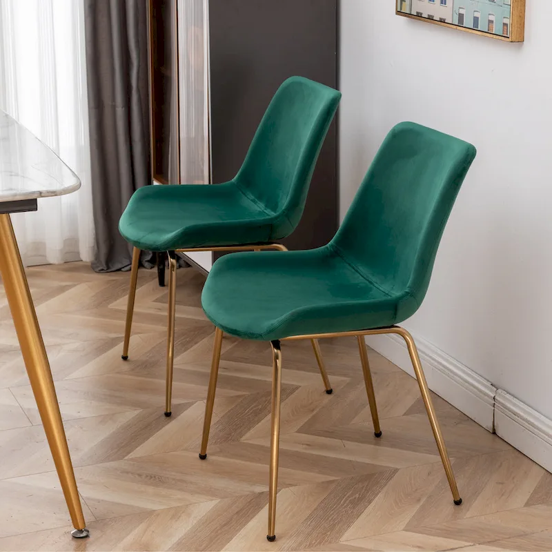 Roundhill Furniture Aufurr Modern Velvet Dining Chair (Set of 2)