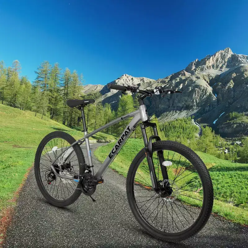 NAYSAYE Bicycle 27 Inch Mountain Bike 21 Speed with Suspension Fork and Disc Brakes for Men and Women, Gray, 70*27*39.5
