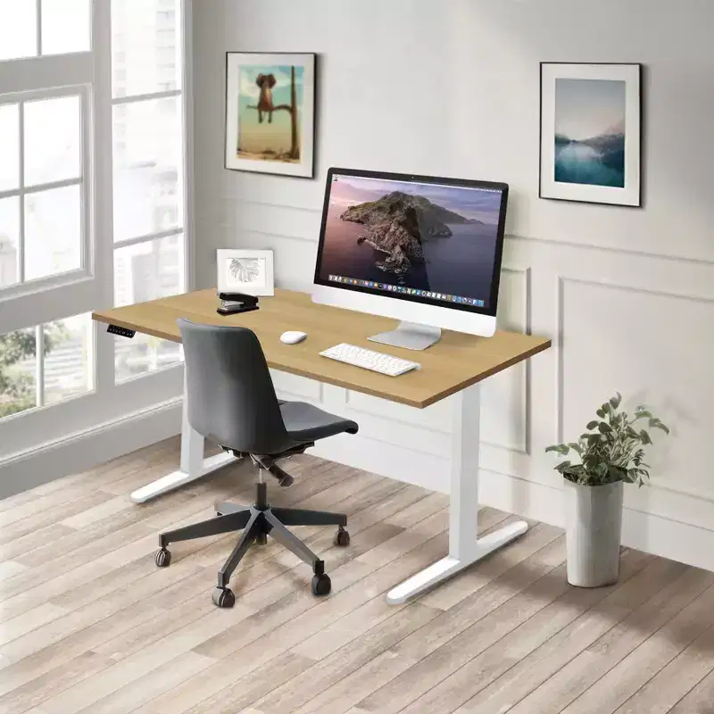 Dual Motor Electric Standing Desk with 55 Tabletop, Maple & White