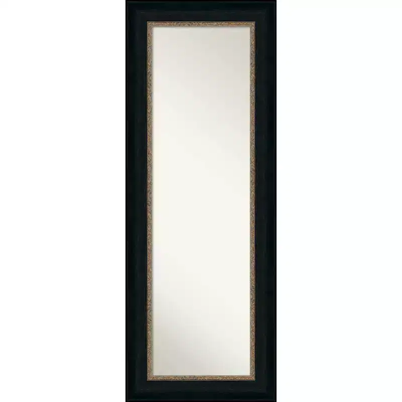 21" x 55" Non-Beveled Paragon Bronze Full Length on The Door Mirror - Amanti Art: Polystyrene Frame, Includes Mounting Hardware