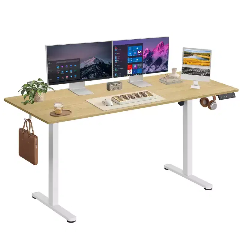 63 Electric Standing Desk - Ergonomic Sit-to-Stand Desk with LED Touchscreen, 3 Memory Presets & Hook for Home Office