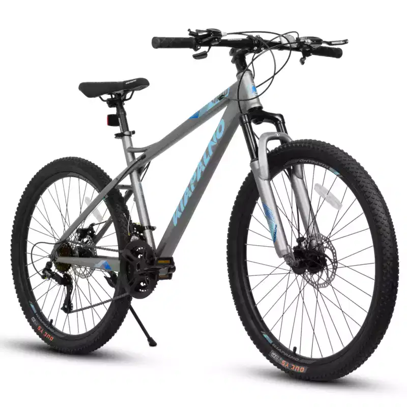 NAYSAYE 26 Inch Mountain Bike 21 Speed Adult Bicycle with High Carbon Steel Frame and Dual Mechanical Disc Brakes, 67*26.5*38