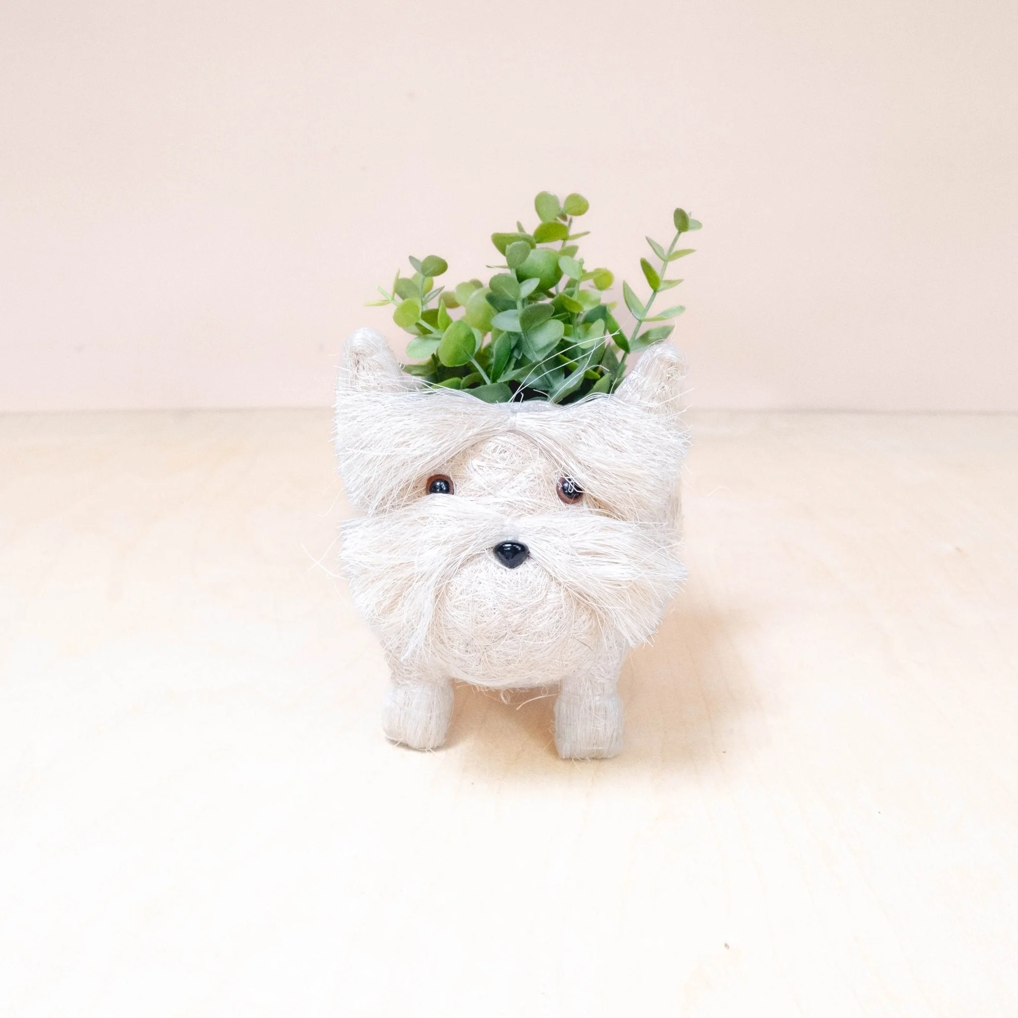 Baby Westie Planter - Handmade Pots