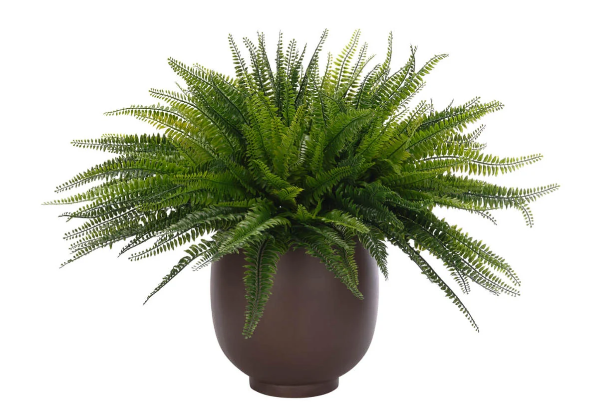 Botanical Synthetic Fern Plant with Concrete Planter for Entryway & Living Room