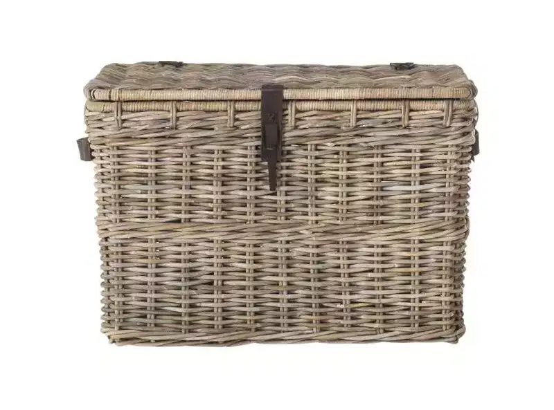 Amancio Trunk - SEA7021 - Grey - Safavieh