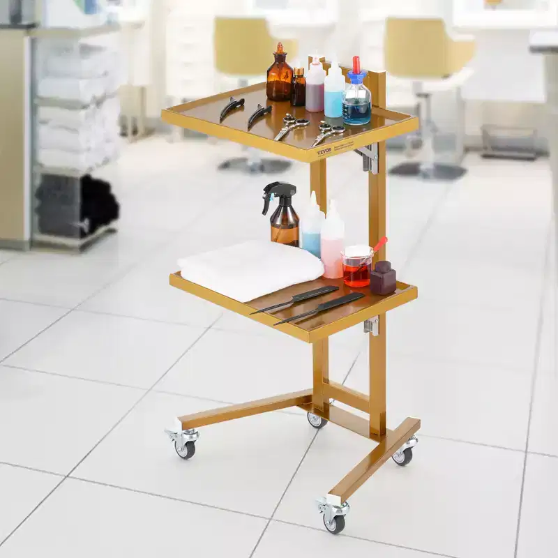 2 Tiers Stainless Steel Lab Carts, Lab Utility Cart with 2 Trays, Mobile Medical Cart with 4 Silent Wheels, Lab Rolling Cart