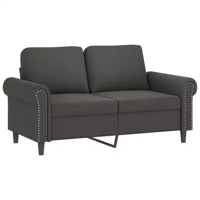 vidaXL Modern 2-Seater Sofa in Luxurious Dark Gray Velvet with Sturdy Metal and Plywood Frame  Comfortable, Stylish, and Easy-to-Assemble.