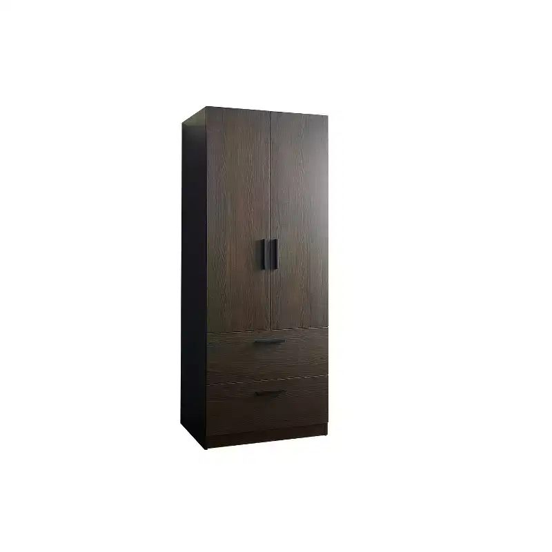 HomeStock Brook Two-Door Wood Closet with Two Drawers and Hanging Bars in Dark Brown