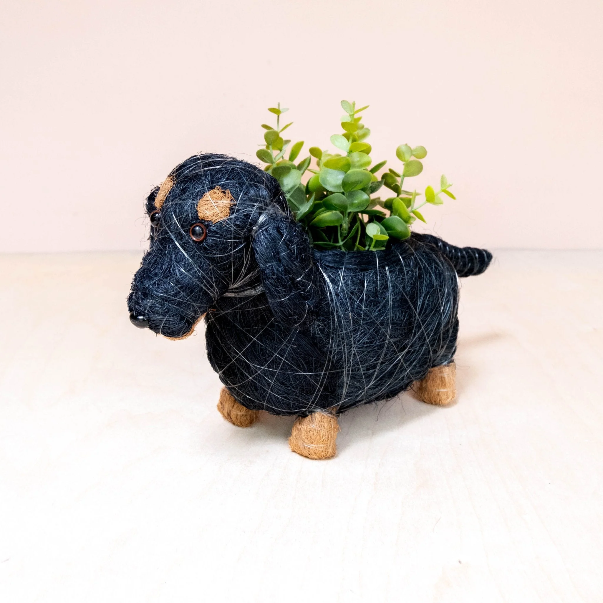 Baby Dachshund - Coco Coir Pots