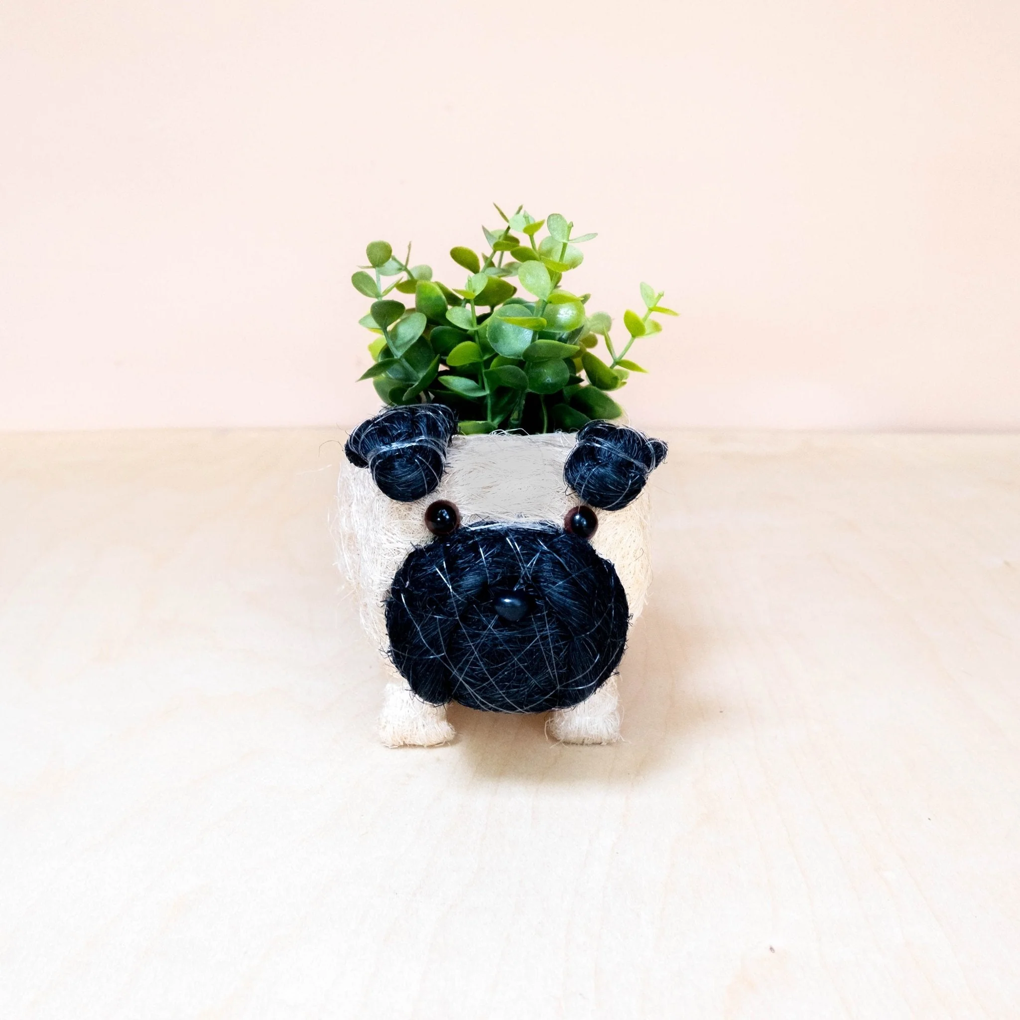 Baby Pug Planter - Coco Coir Pots