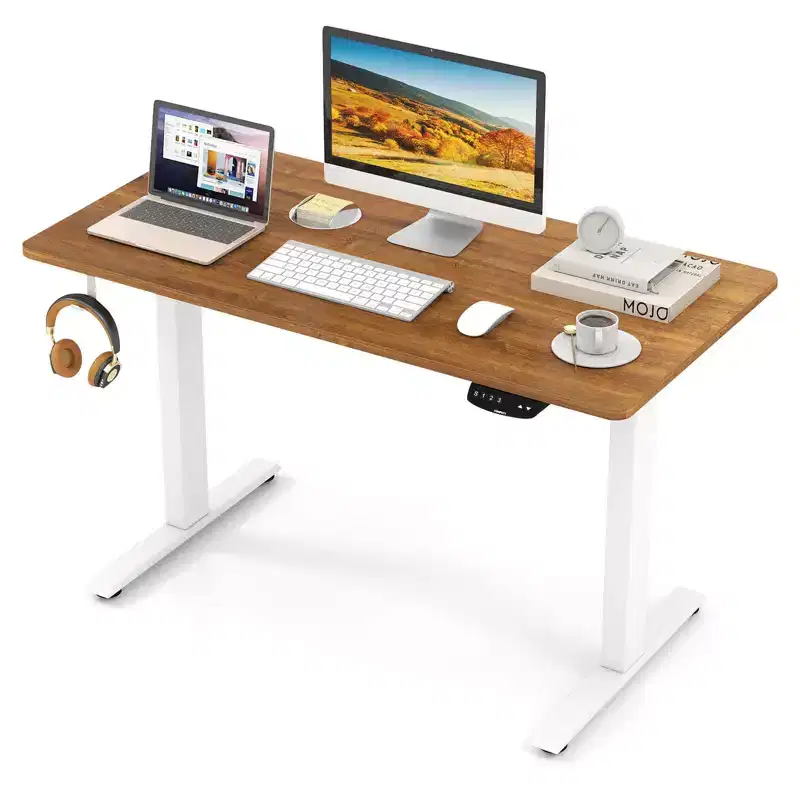 Costway Electric Adjustable Standing up Desk Dual Motor w/ Controller