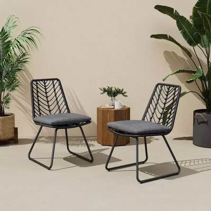 MAYEERTY Set of 2 Chairs With 2 Gray Cushions Comfortable Seating for Living Room Dining Room