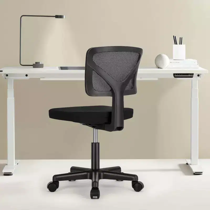 Low-Back Armless Mesh Office Chair with Lumbar Support, Adjustable Height Desk Chair for Study, Reading Room, Office