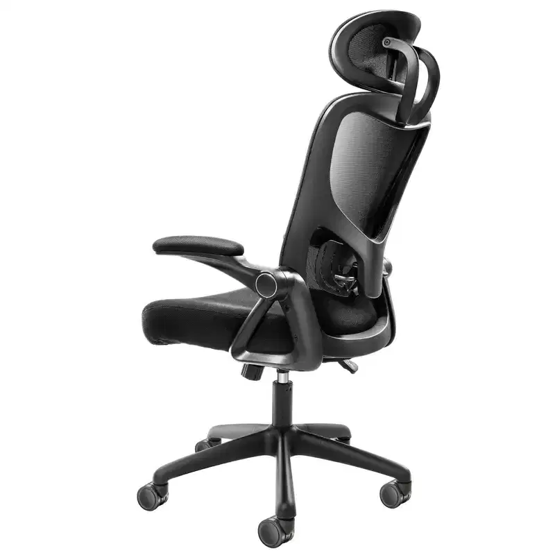 Okak Ergonomic Office Chair with Adjustable Lumbar Support, Upholstered Computer Chair with Adjustable Headrest and Armrest for Home, Office