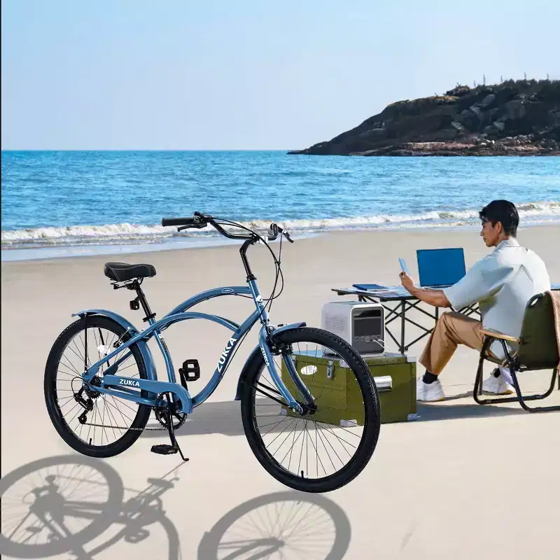 Whisen 26 Adult Outdoor Bikes with Steel Frame Low Swooping Frame, 7-Speed Gear, Front and Rear V brakes