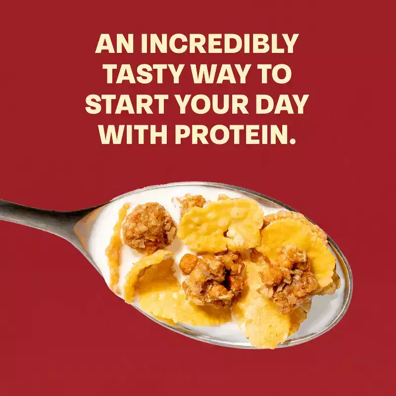 Honey Bunches of Oats Protein Cinnamon Breakfast Cereal - 15oz