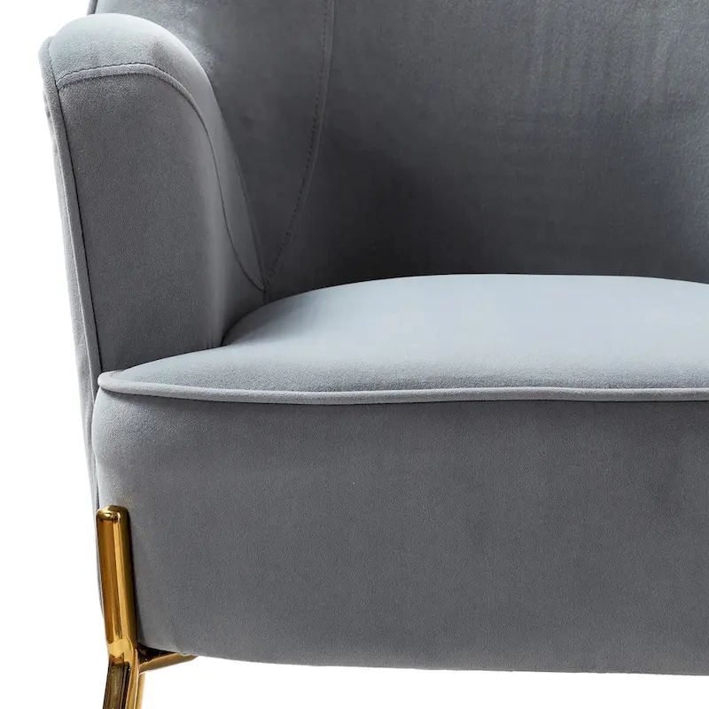 Marina Modern Velvet Accent Chair with Golden Legs Set of 2 by HULALA HOME