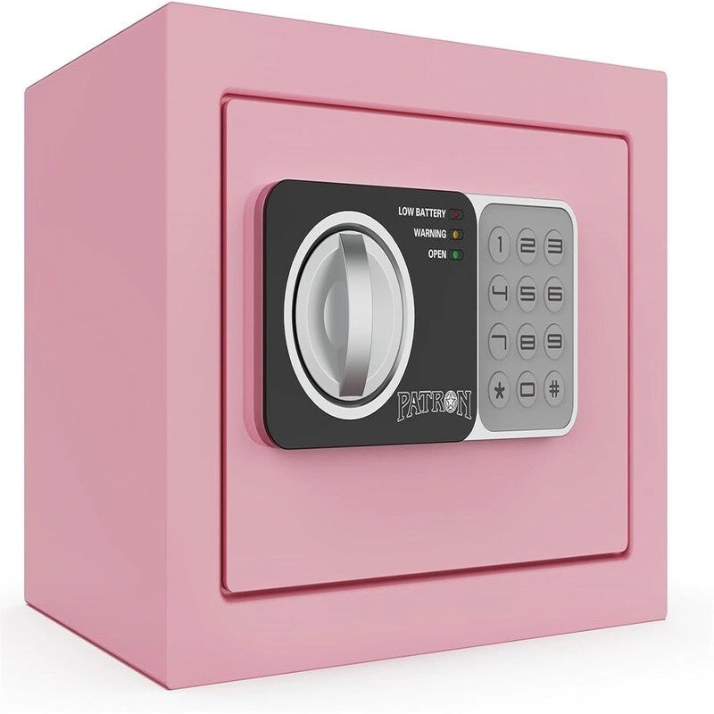 Cabinet Safe for personal items