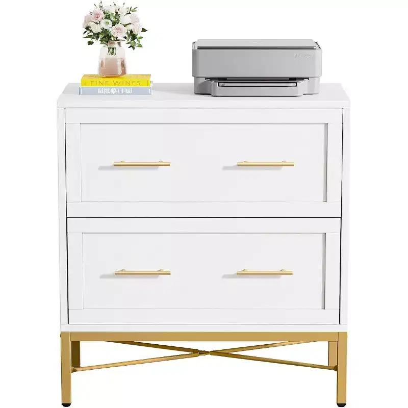 Tribesigns Lateral Filing Cabinet, 2-Drawer File Storage Cabinet