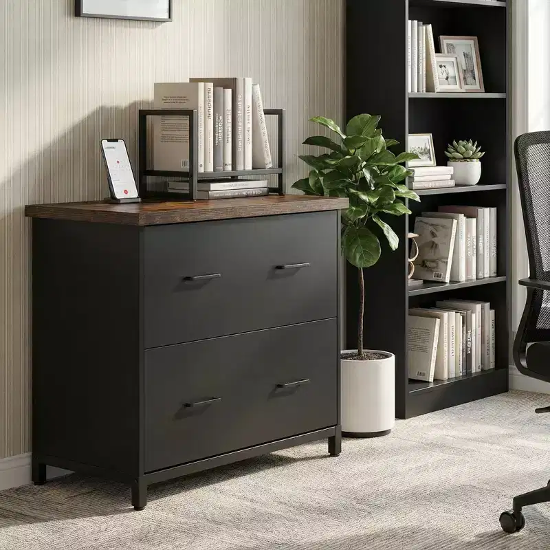 MAYEERTY 2-Drawer Lateral Filing Cabinet, Office Printer Stand Storage Cabinet