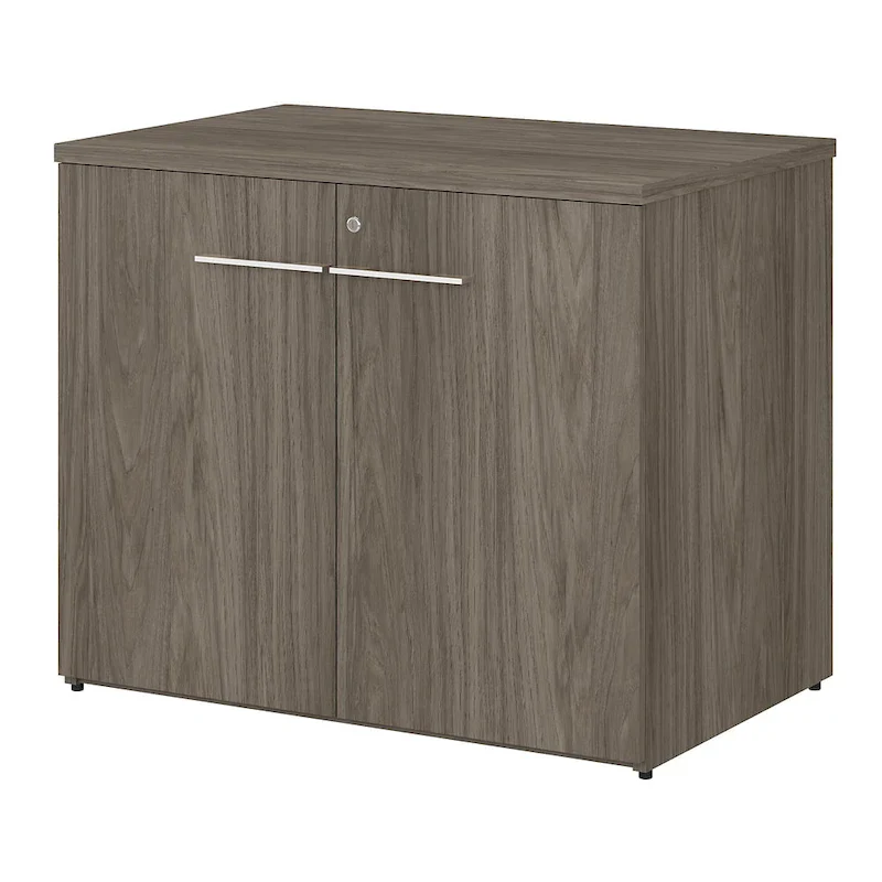 Two-Door Storage Cabinet