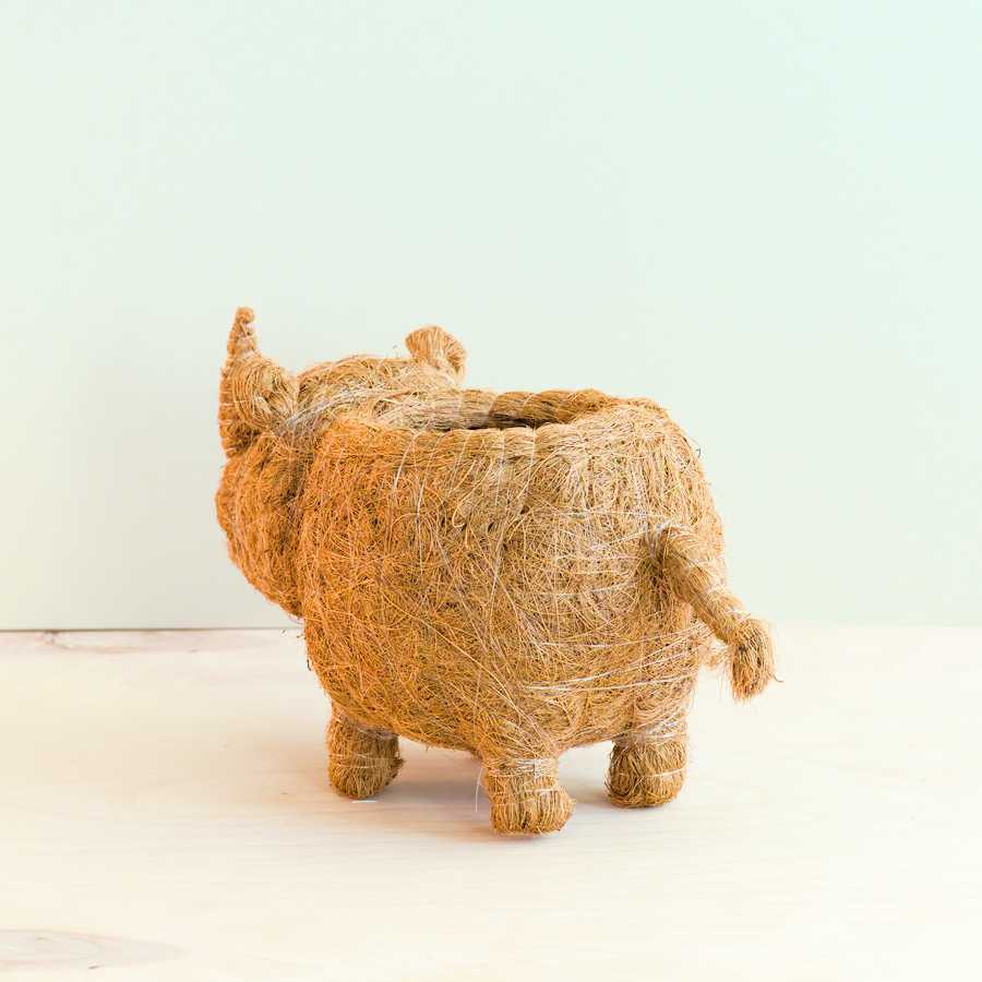 Baby Rhino Planter - Coco Coir Planter