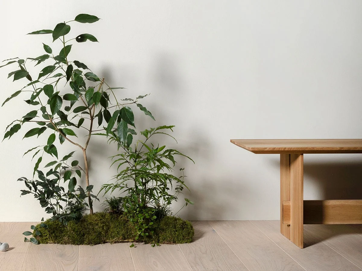 Low, long bench