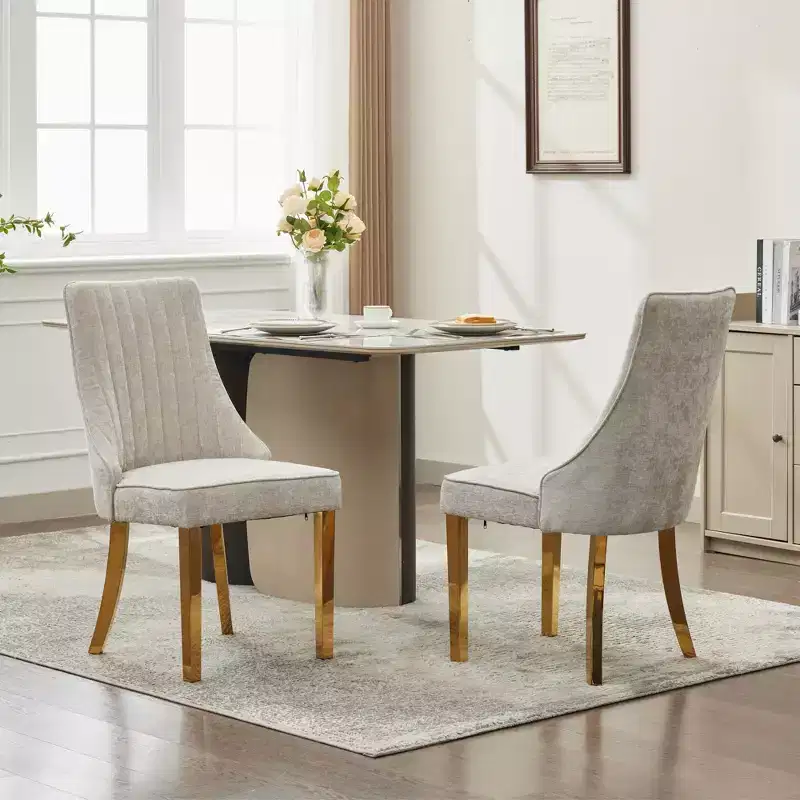 Okak Chenille Dining Chairs Set of 2, Modern Kitchen Chairs with Comfy Fabric Upholstered, Accent Chairs with Stainless Steel Plating Legs