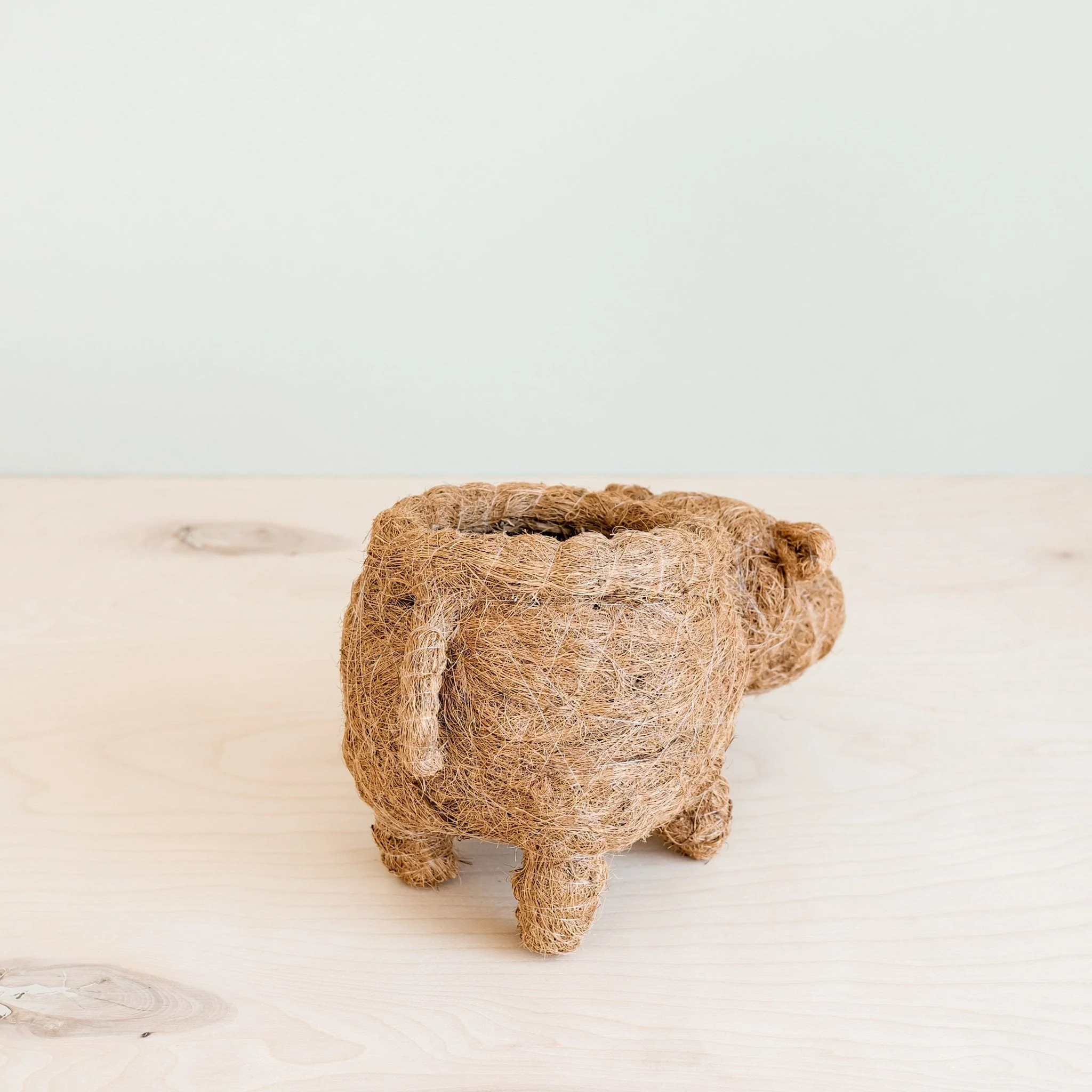 Hippo Planter - Coco Planter