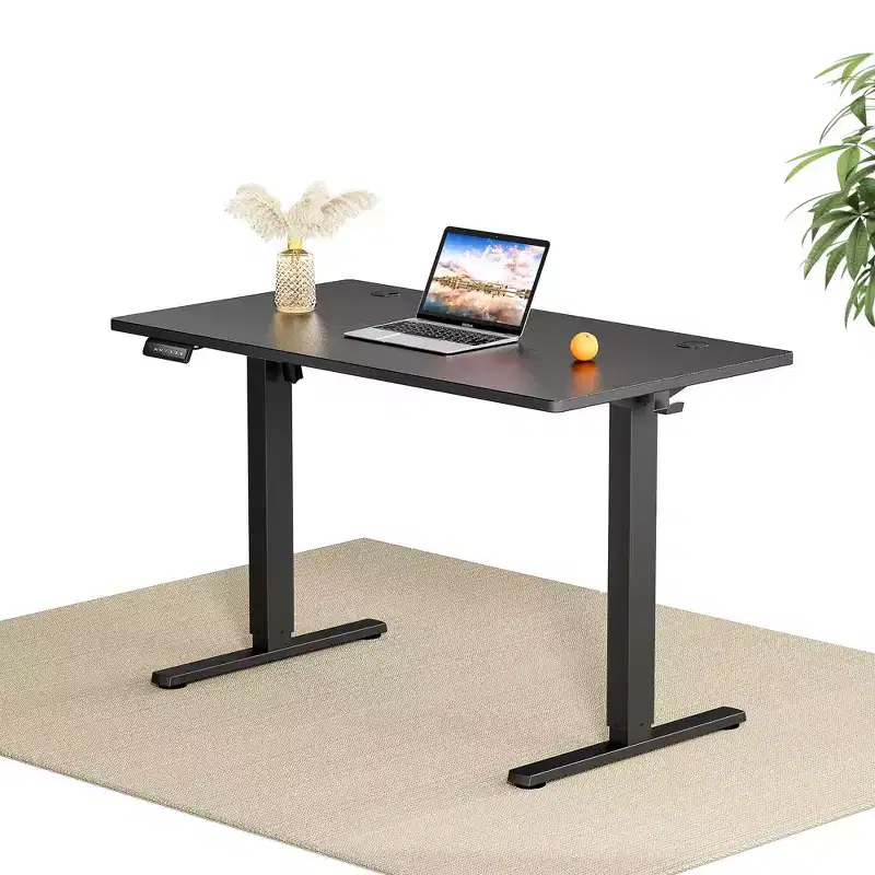 JIONJOY 48 Wide Height Adjustable Standing Desk