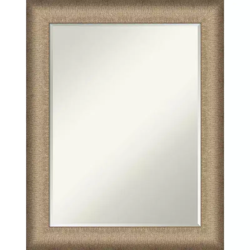 Amanti Art Elegant Brushed Petite Bevel Bathroom Wall Mirror