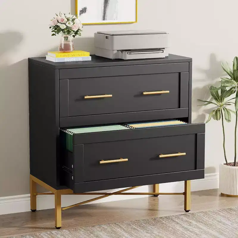 Tribesigns Lateral Filing Cabinet, 2-Drawer File Storage Cabinet