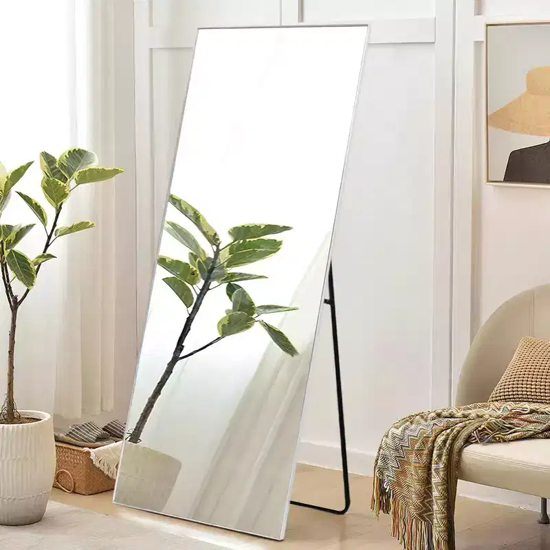 PexFix 20 in. W x 59 in. H Rectangular Metal Framed Full Length Wall Mirror Free Standing Mirror in Silver