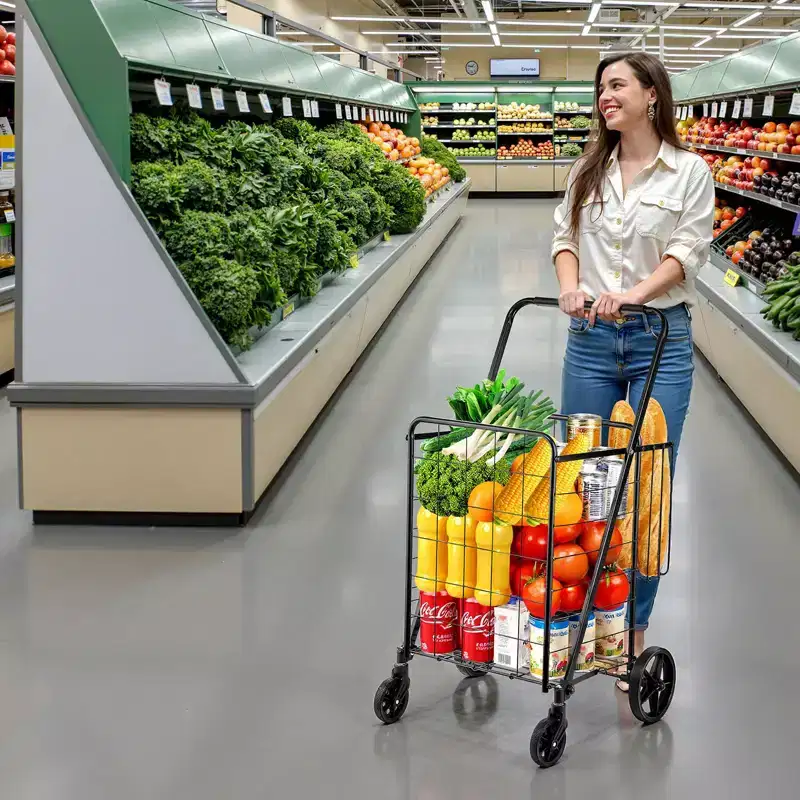 Folding Shopping Cart with Double Baskets Heavy Duty Steel Frame 110 lbs Capacity Swivel Wheels