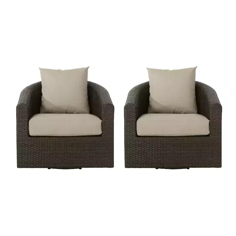 Christopher Knight Home Darius Outdoor Wicker Swivel Club Chairs with Cushion (Set of 2)