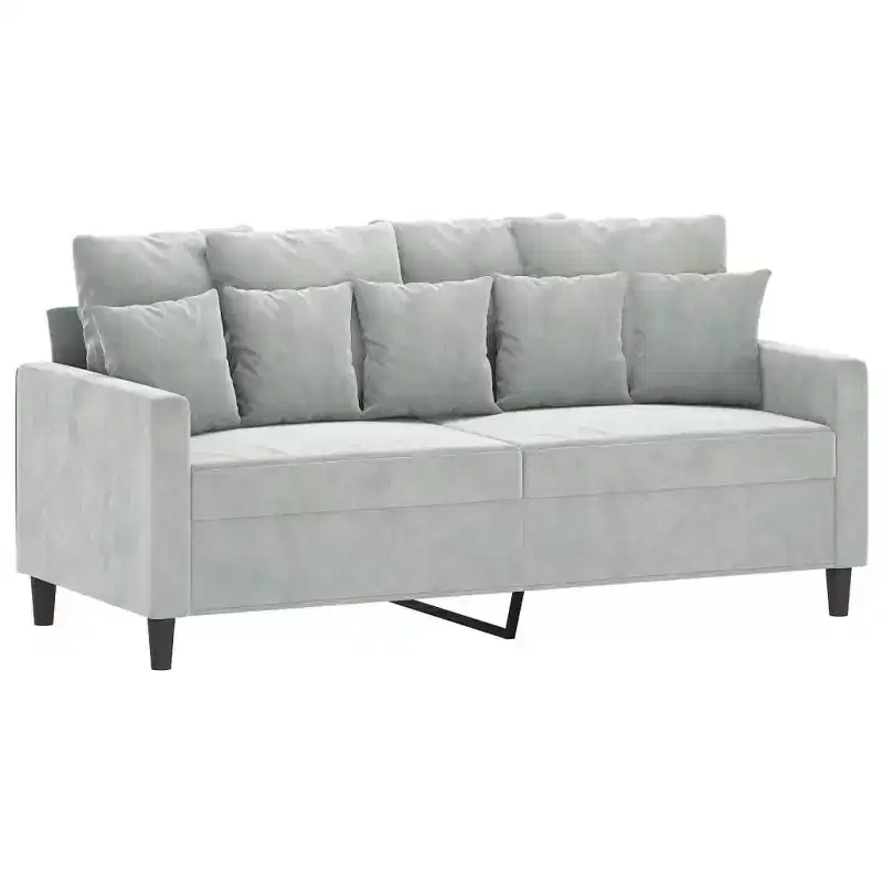 vidaXL Luxurious 2-Seater Sofa in Light Gray Velvet - Comfortable Thickly-Padded Seat with Sturdy Metal Frame and Modern Design