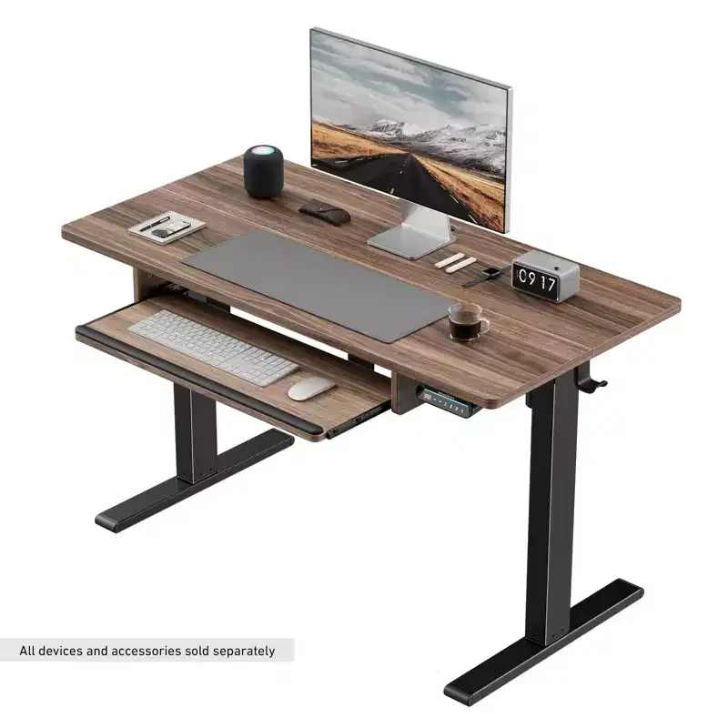 48X24 Inch Electric Standing Desk, Work Home Office Computer Table for Study, Writing, and Games, Wooden Desktop Desks, Brown