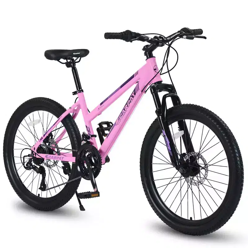 NAYSAYE Bicycle 26 Inch Mountain Bike with 21 Speed Shifter Dual Disc Brakes for Teenagers and Women, Pink, 65*24.8*37.4