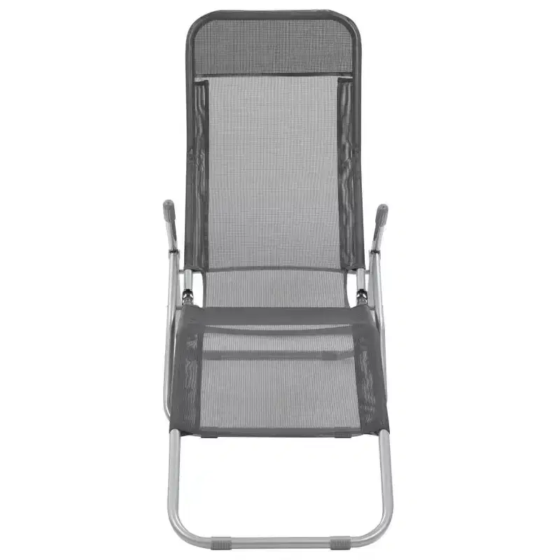 vidaXL Sun Lounger Set of 2 Powder-coated steel, Textilene Standard