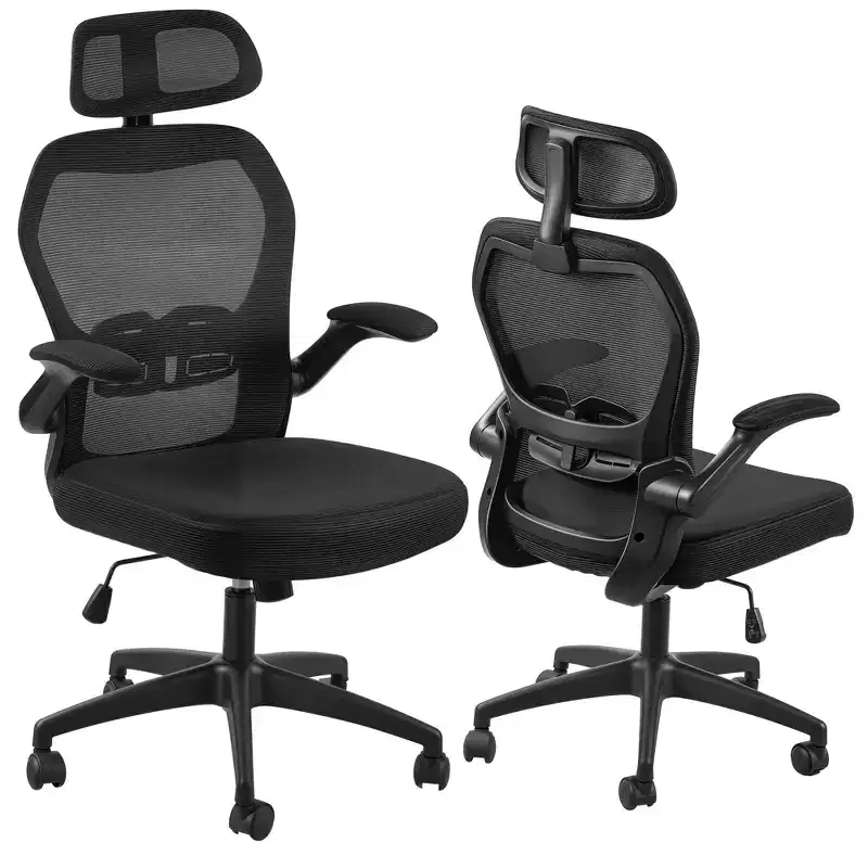 Ergonomic Mesh Office Chair with Adjustable Lumbar Support Flip-Up Arms Headrest 300 lb Capacity Desk Chair for Home Office Work from Home