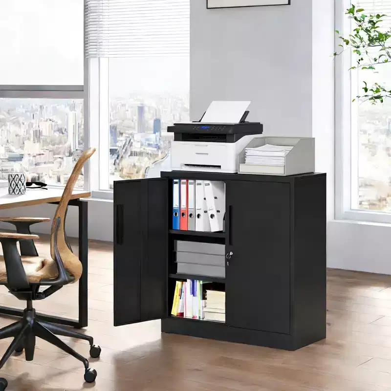 2-Door Metal Garage Storage Cabinet with Lock and 2 Adjustable Shelves, Heavy Duty Steel File Cabinet