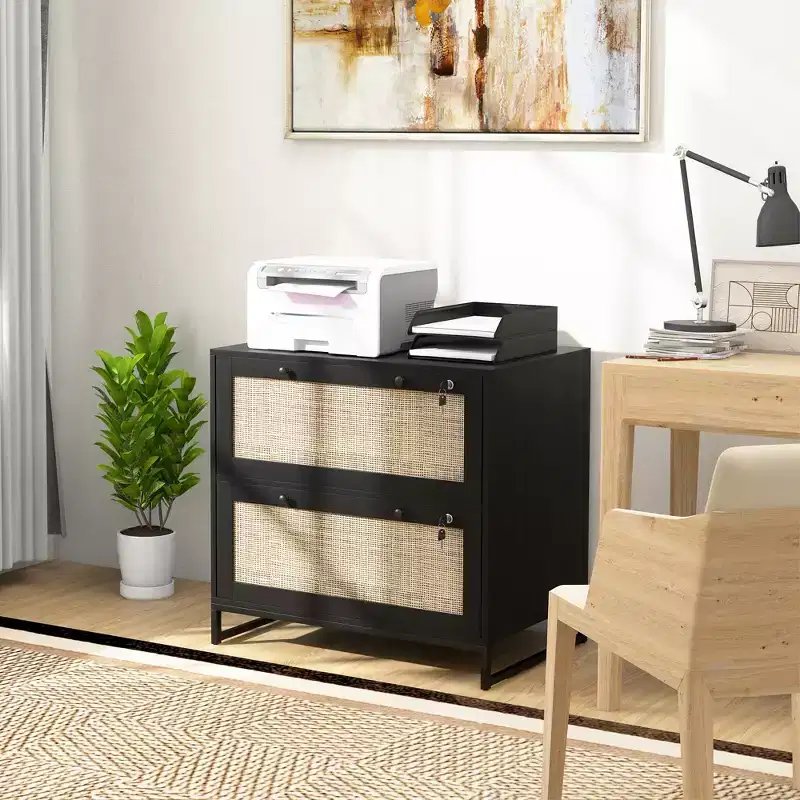 Lockable Filing Cabinet, Boho 2 Drawer File Cabinet with Adjustable Hanging Bar for Letter, A4 and Legal Size