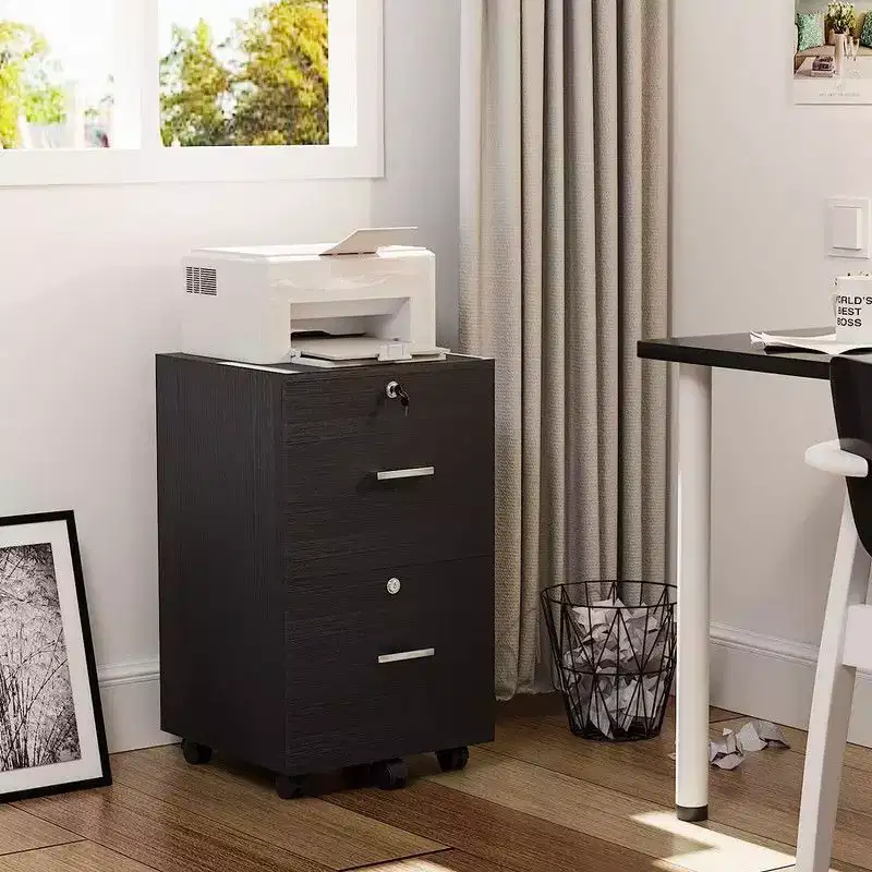 Karl Home 2-Drawer Black MDF 15.75in. W Vertical File Cabinet