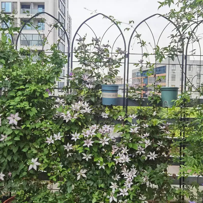 MAYEERTY 4 Pack 78.7 x 19.7 Black Rustproof Metal Garden Trellis for Climbing Plants