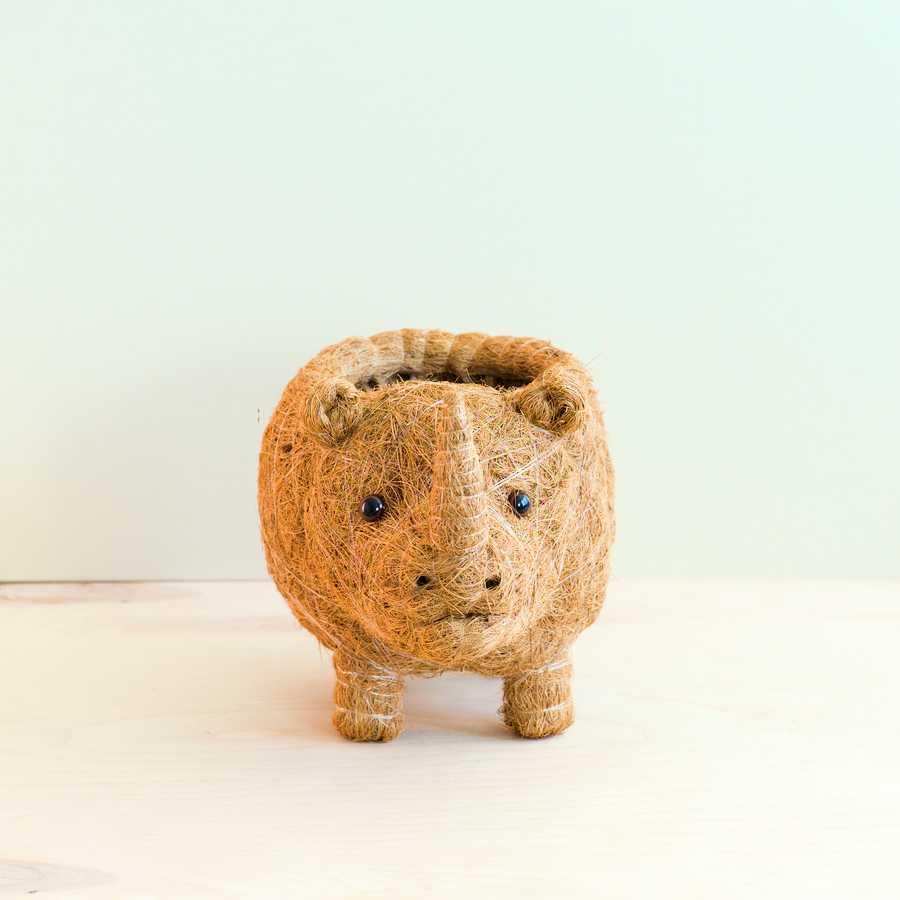 Baby Rhino Planter - Coco Coir Planter