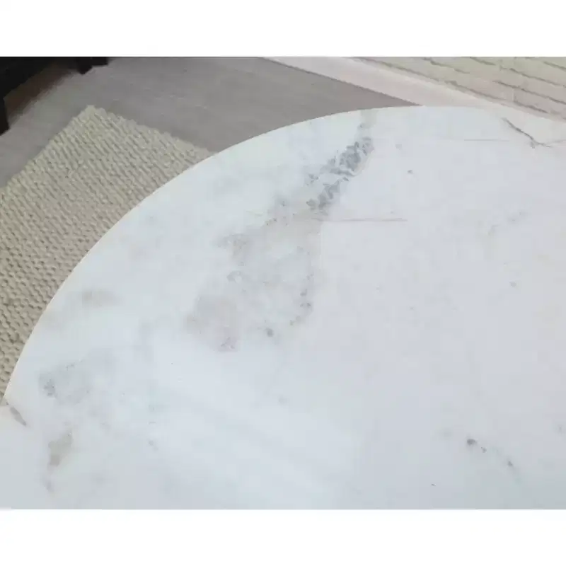 Carolina Living 36 Zaha Round Marble Top Dining Table