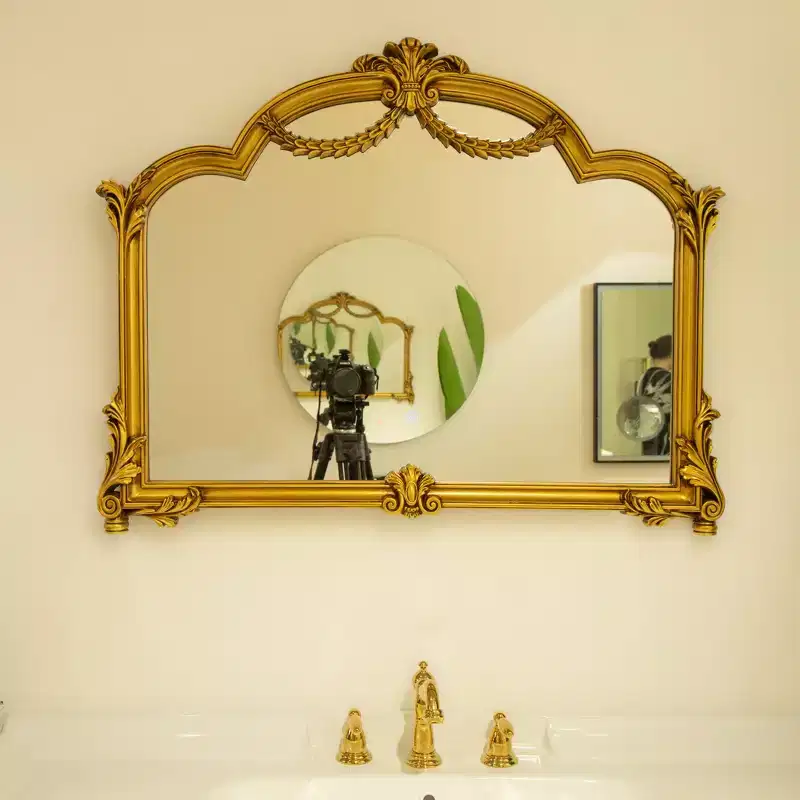 GDFStudio Veda Baroque Revival Style Irregular Faux Leather Decorative Wall Mirror with 3-Color Adjustable Light
