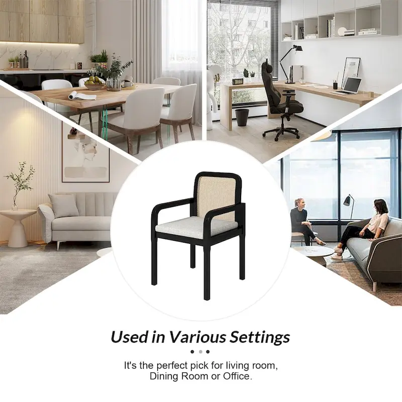 Antoine Modern Ratten Back Dining Chair with Removable Cushion by HULALA HOME